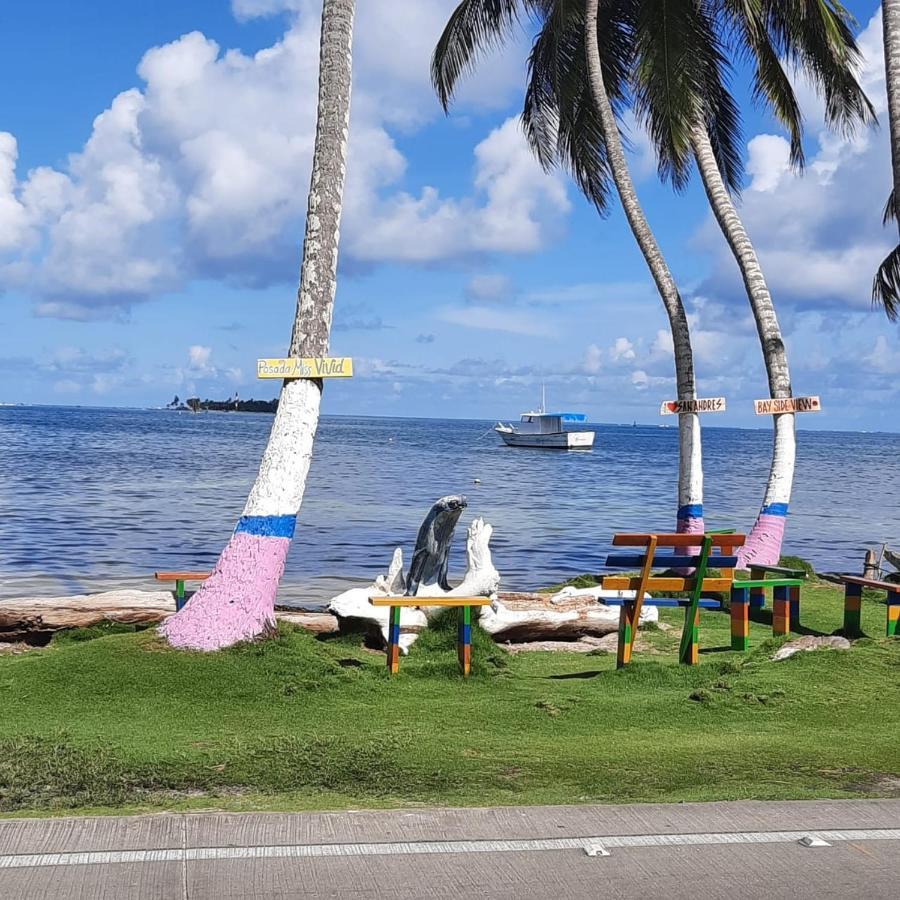 Posada Nativa Miss Nova San Andrés エクステリア 写真
